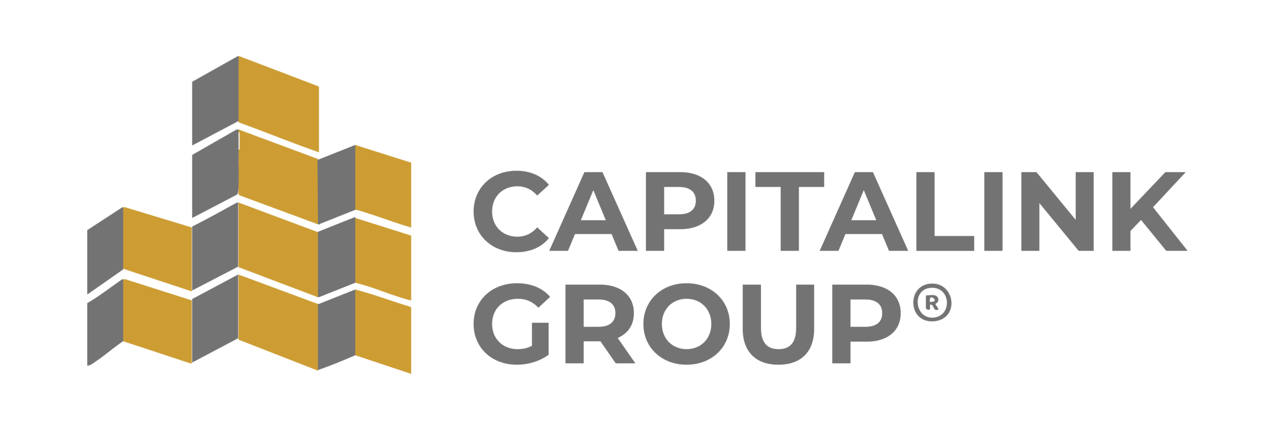 CAPITALINK GROUP